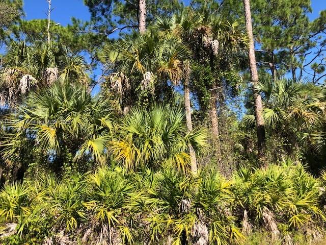 5005 Spinnaker Rd, La Belle, Florida image 1