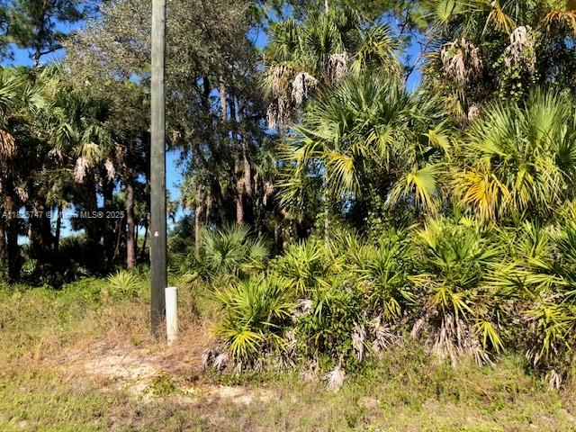 5005 Spinnaker Rd, La Belle, Florida image 2