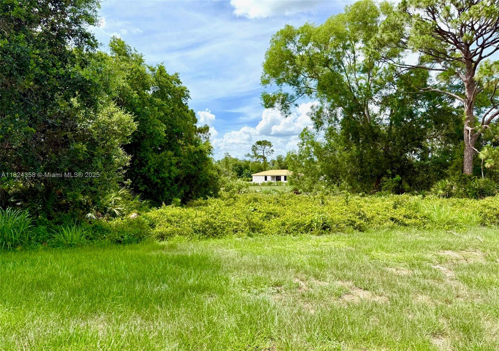 5029 N Dogwood Cir, La Belle, Florida image 45