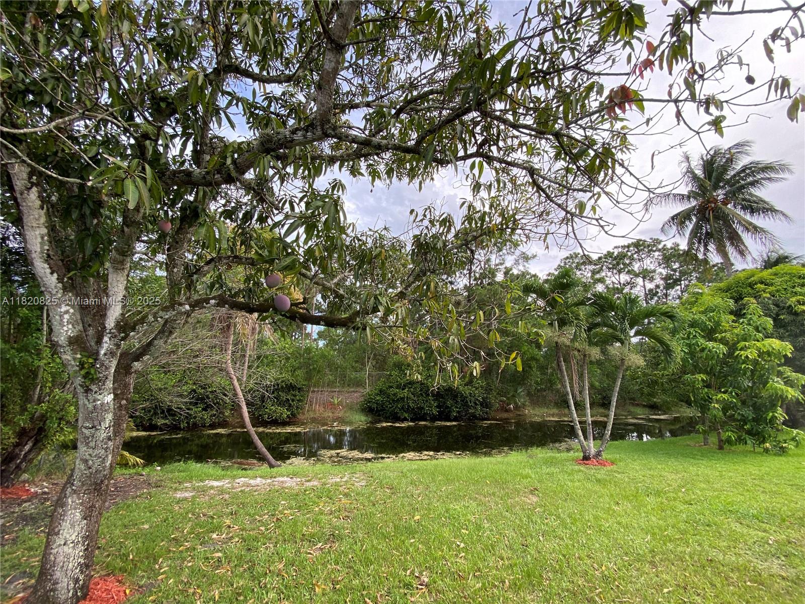 Property photo # 5