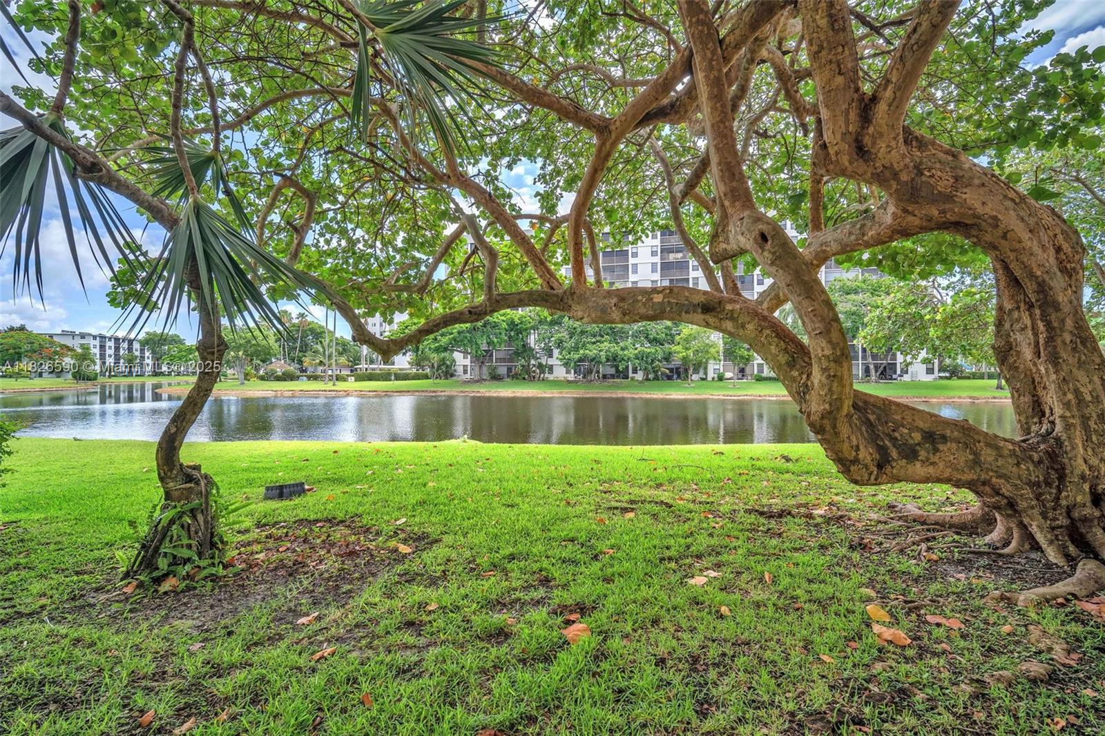 2311 S Cypress Bend Drive #316B, Pompano Beach, Florida image 4