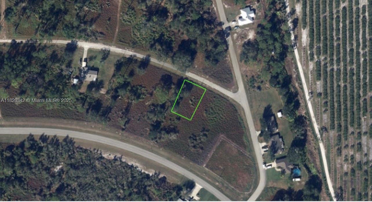 567 NE Farrell Drive, Lake Placid, Florida image 2