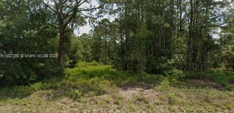 145 N Mayoral Street, Clewiston, Florida image 2