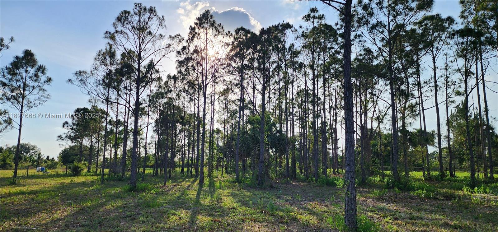 16322 NW 294 St, Okeechobee, Florida image 1