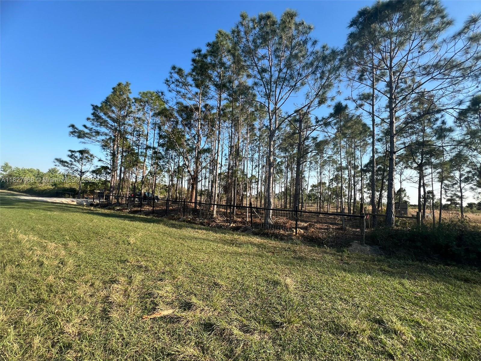 16322 NW 294 St, Okeechobee, Florida image 10