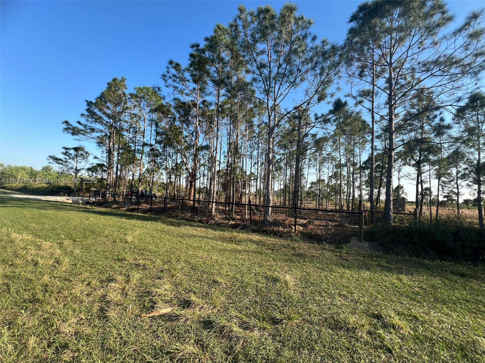 16322 NW 294 St, Okeechobee, Florida image 12