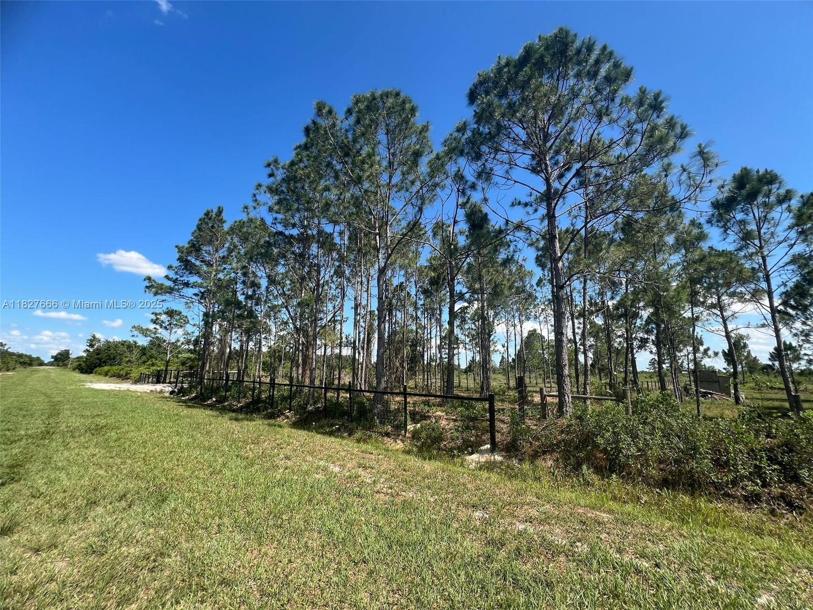16322 NW 294 St, Okeechobee, Florida image 13