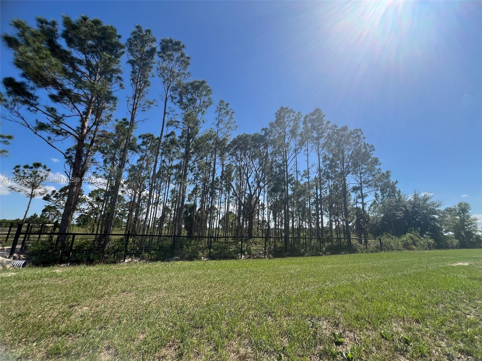 16322 NW 294 St, Okeechobee, Florida image 15