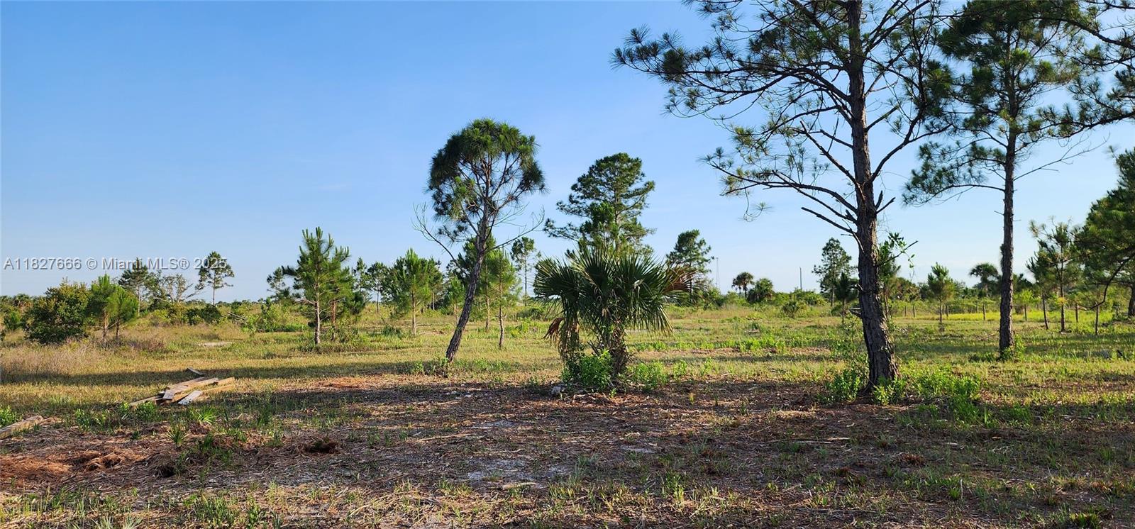 16322 NW 294 St, Okeechobee, Florida image 3