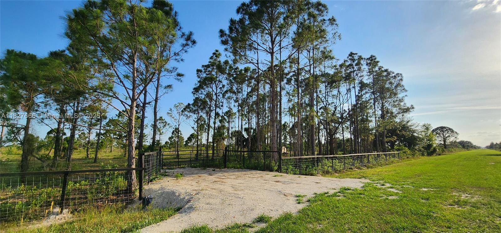 16322 NW 294 St, Okeechobee, Florida image 5