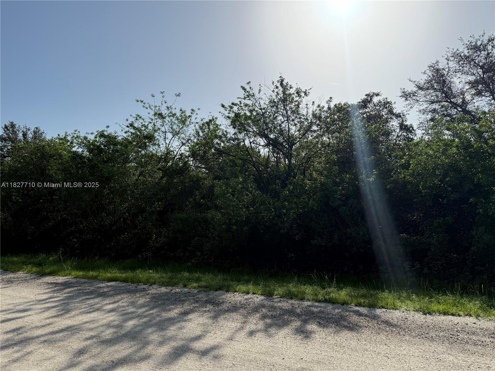203 Bald Cypress Ave, Clewiston, Florida image 10