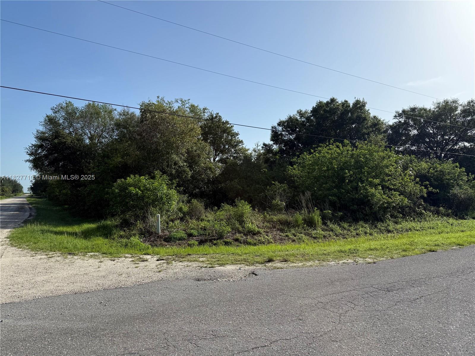 203 Bald Cypress Ave, Clewiston, Florida image 11