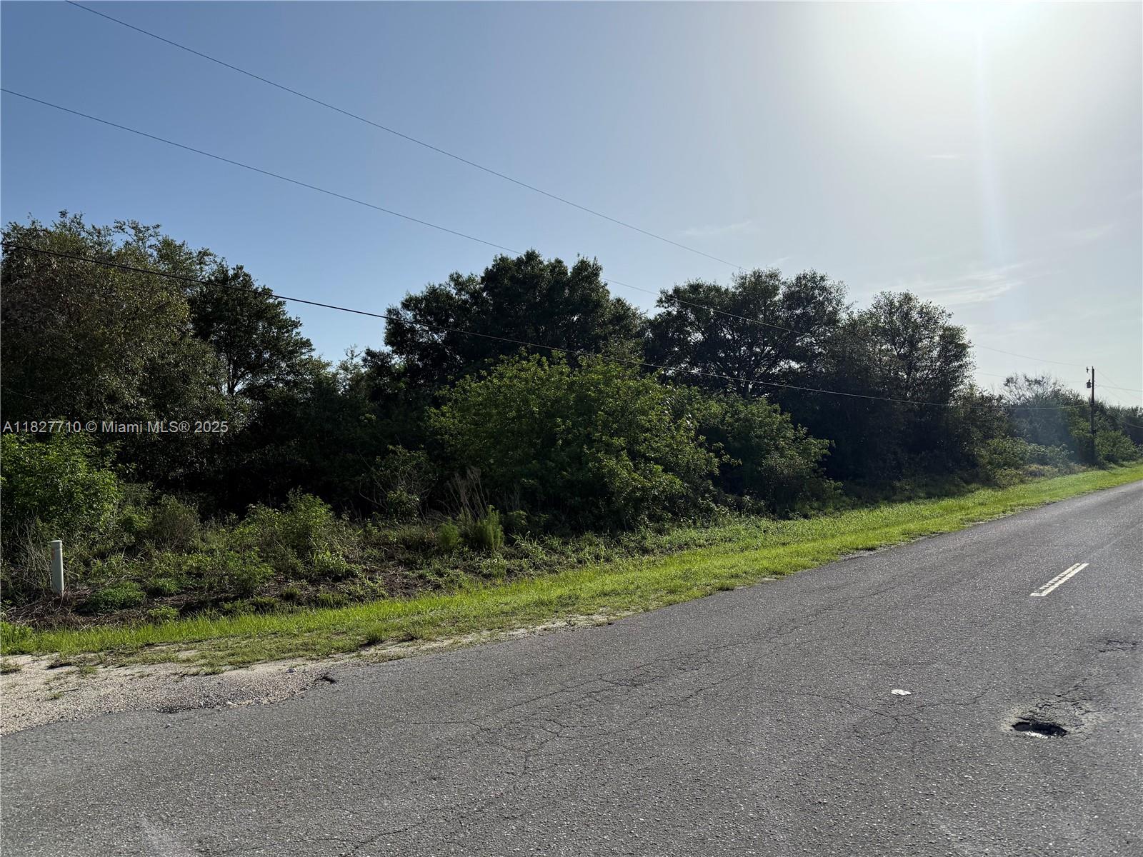 203 Bald Cypress Ave, Clewiston, Florida image 12