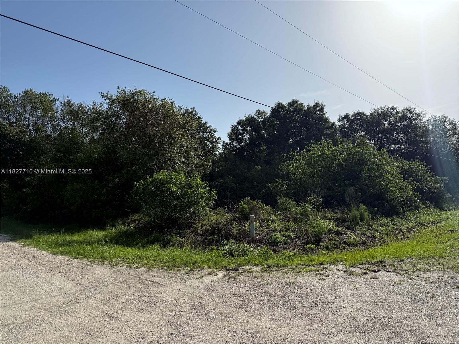 203 Bald Cypress Ave, Clewiston, Florida image 13