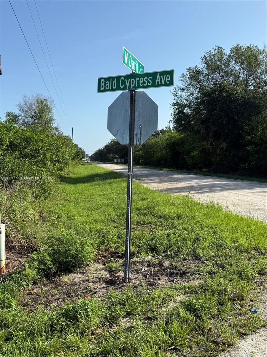 203 Bald Cypress Ave, Clewiston, Florida image 15
