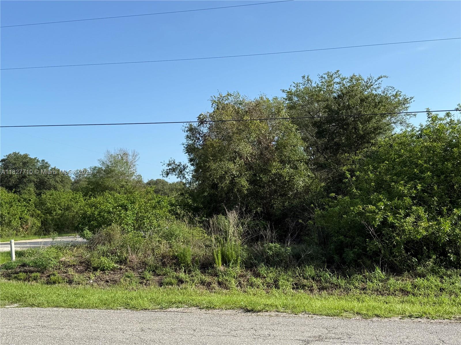 203 Bald Cypress Ave, Clewiston, Florida image 16