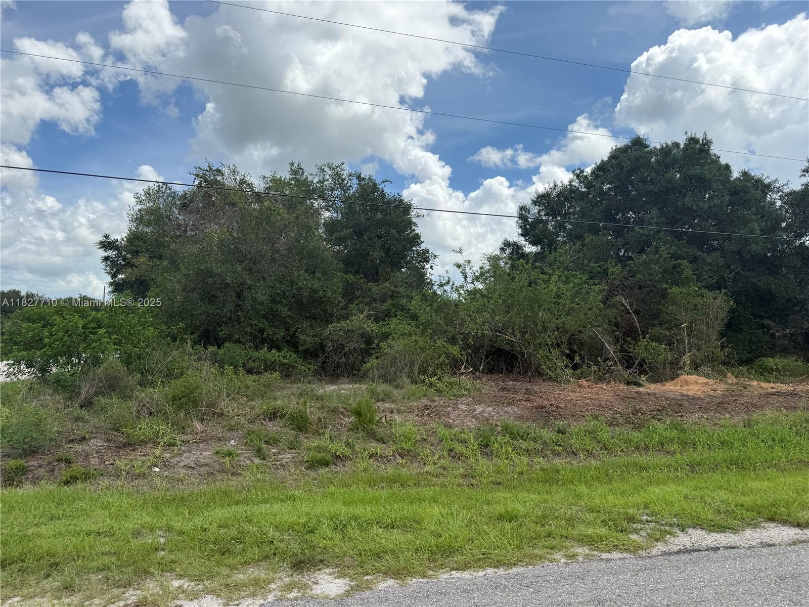 203 Bald Cypress Ave, Clewiston, Florida image 2