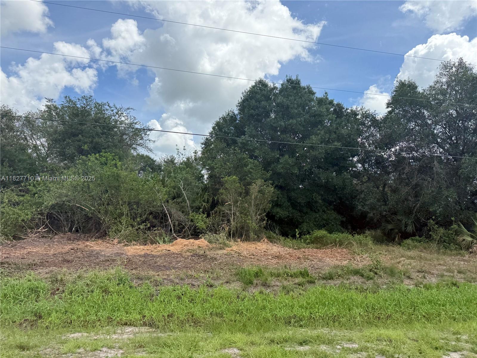 203 Bald Cypress Ave, Clewiston, Florida image 4