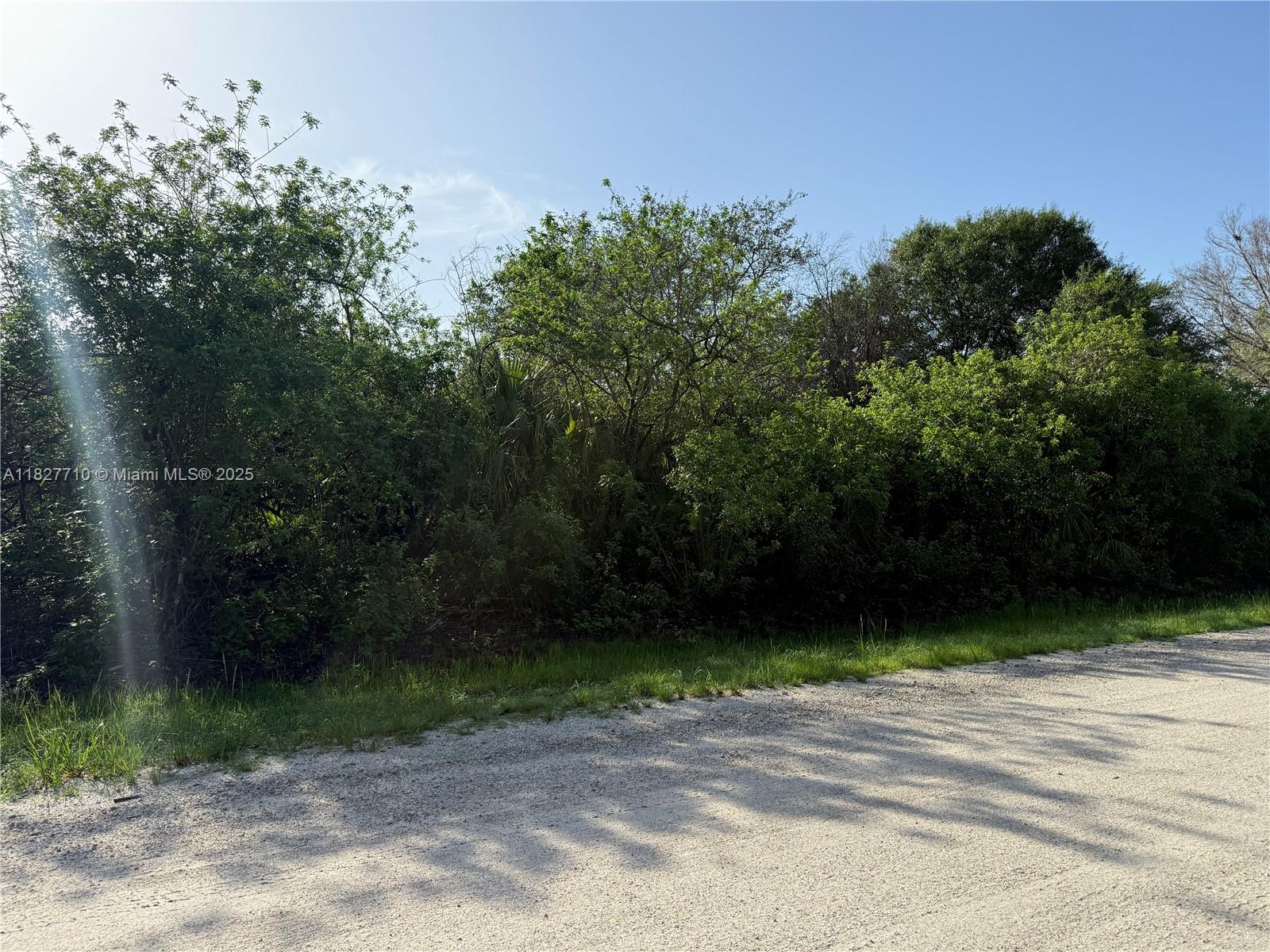 203 Bald Cypress Ave, Clewiston, Florida image 5