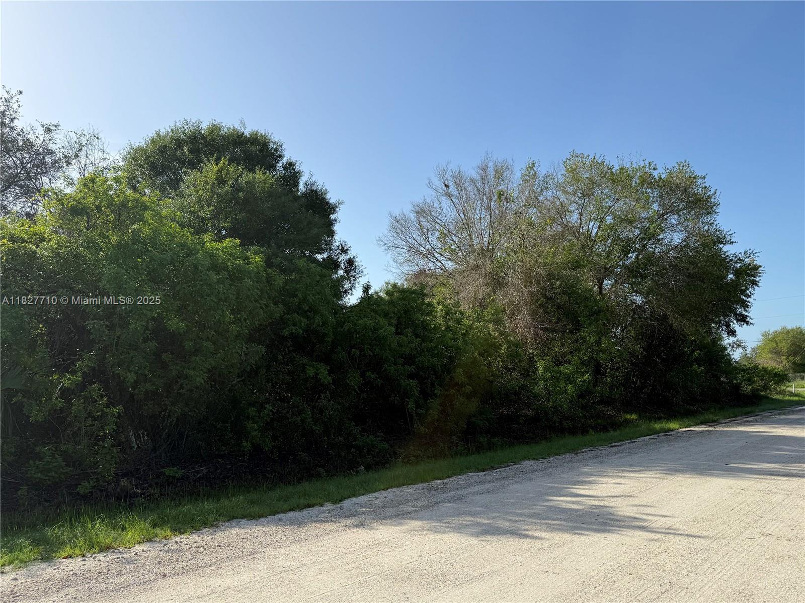 203 Bald Cypress Ave, Clewiston, Florida image 7