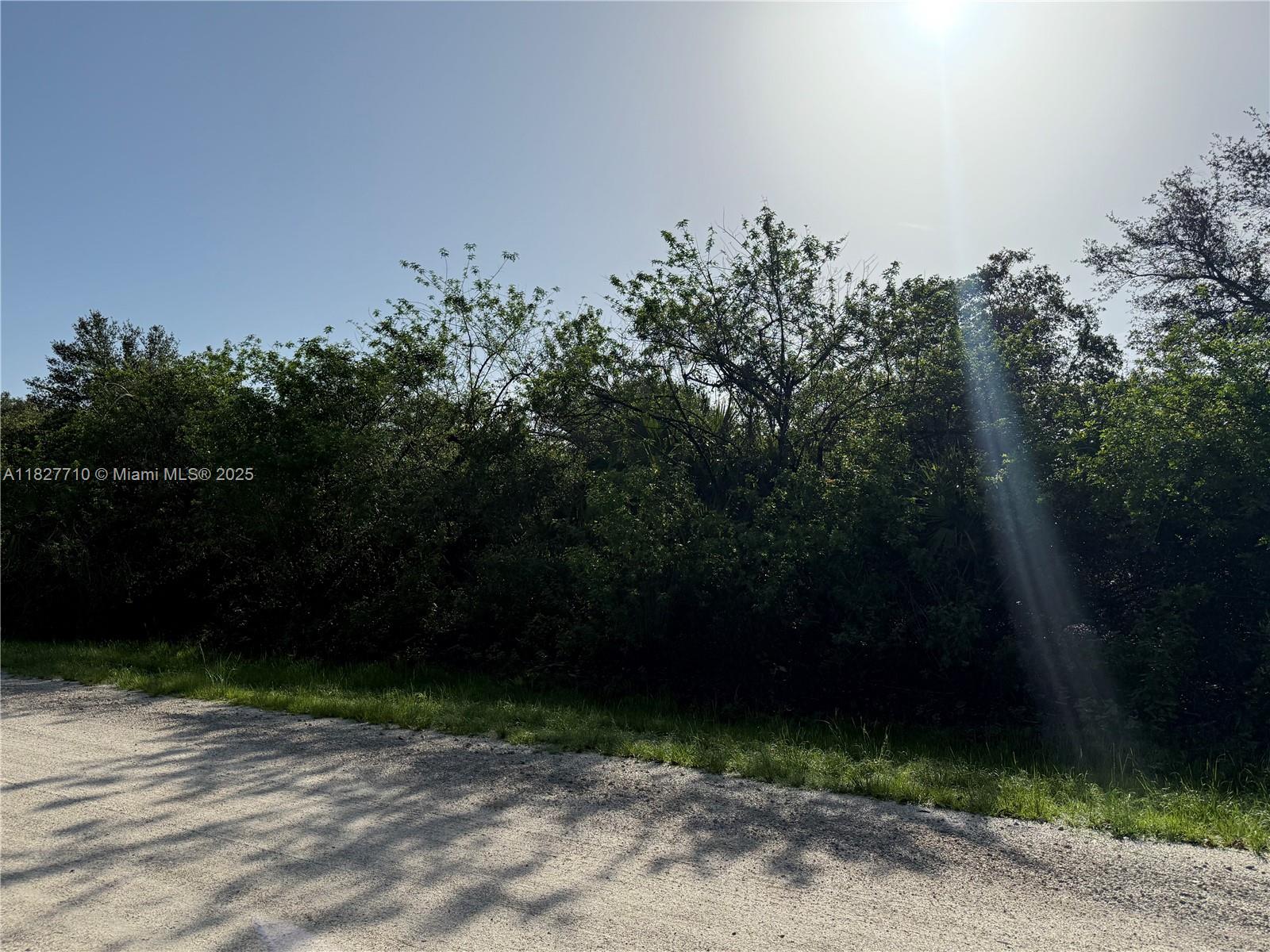 203 Bald Cypress Ave, Clewiston, Florida image 9