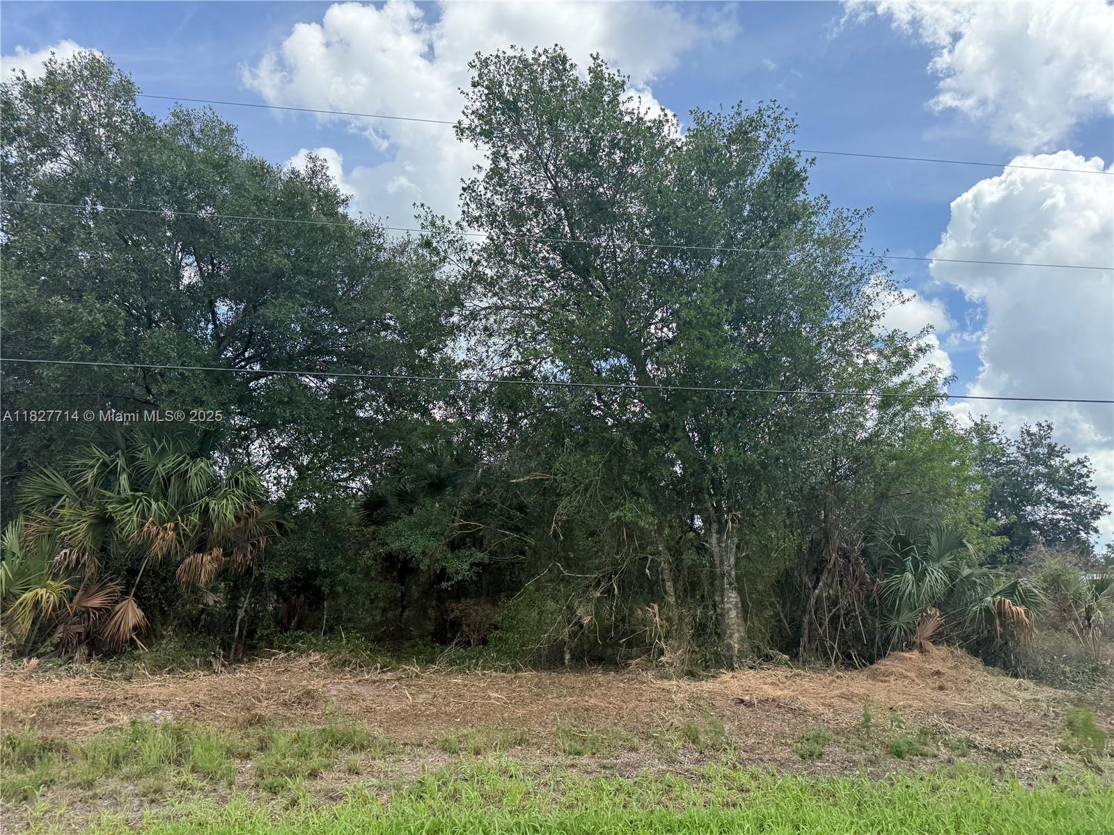 209 Bald Cypress Ave, Clewiston, Florida image 11