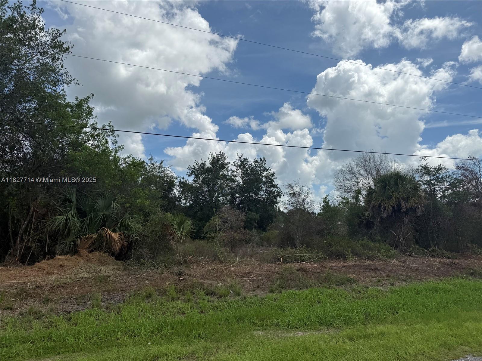 209 Bald Cypress Ave, Clewiston, Florida image 12