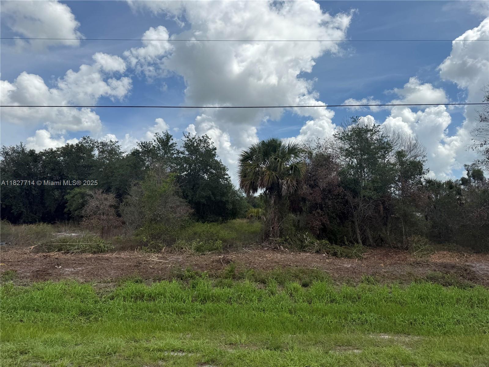 209 Bald Cypress Ave, Clewiston, Florida image 2