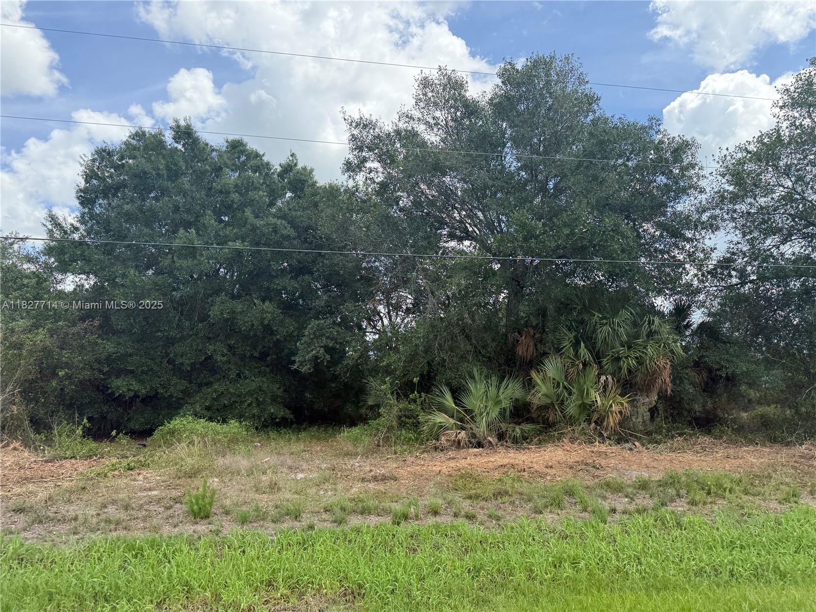 209 Bald Cypress Ave, Clewiston, Florida image 4
