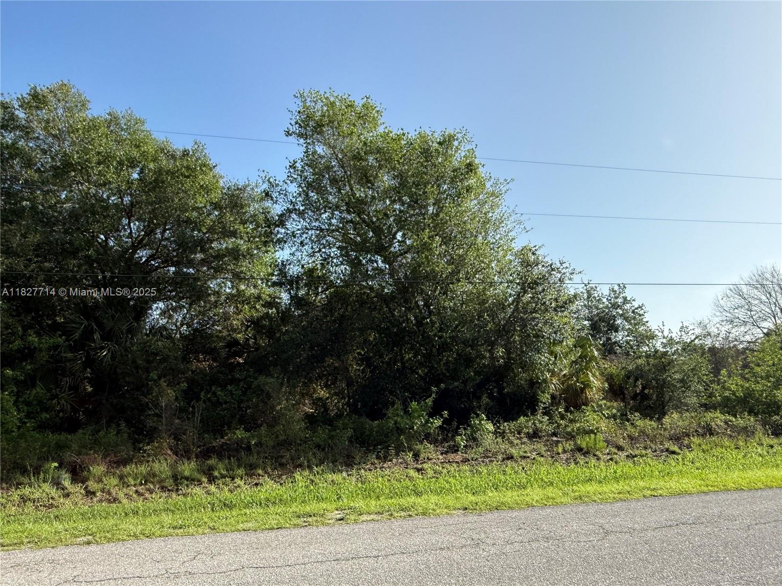 209 Bald Cypress Ave, Clewiston, Florida image 7