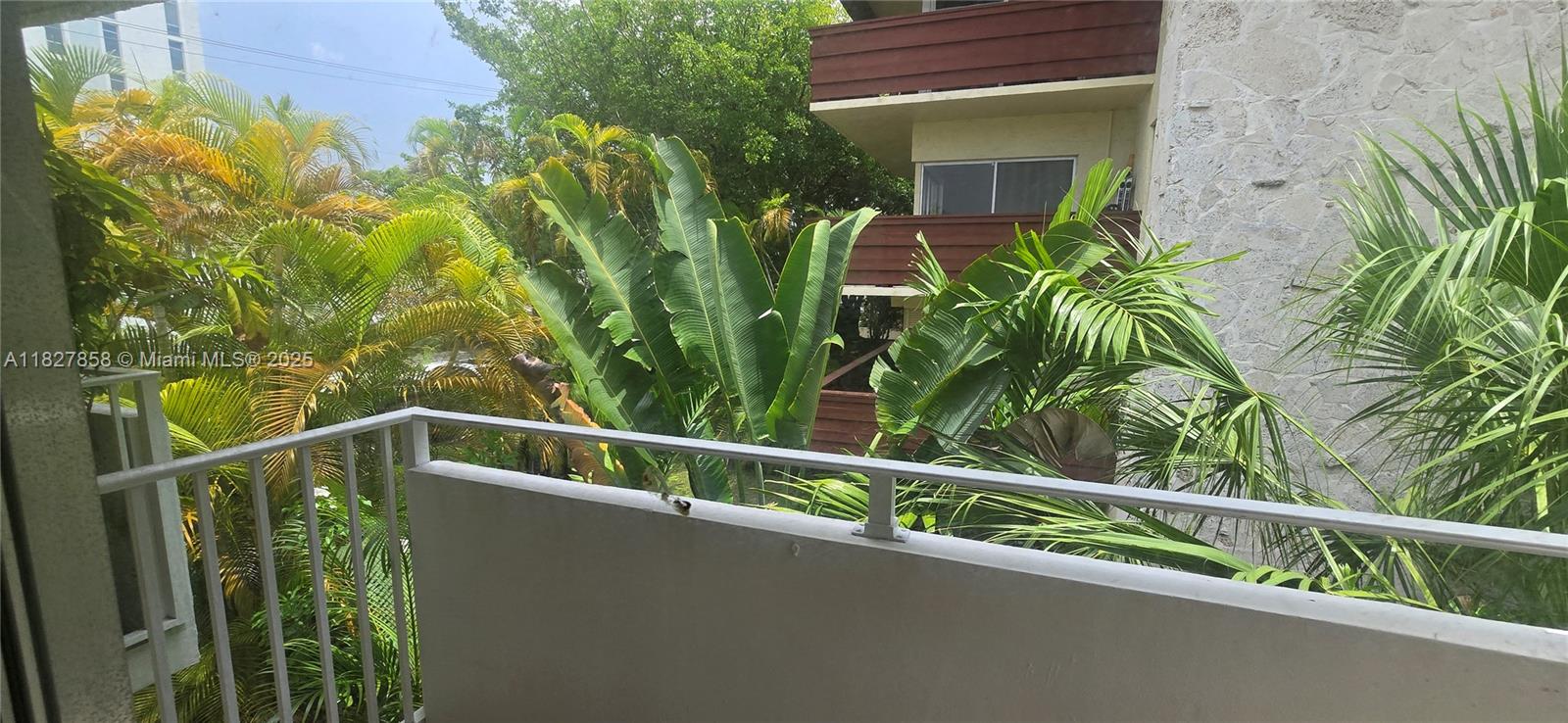1235 Mariposa Ave #8, Coral Gables, Florida image 2