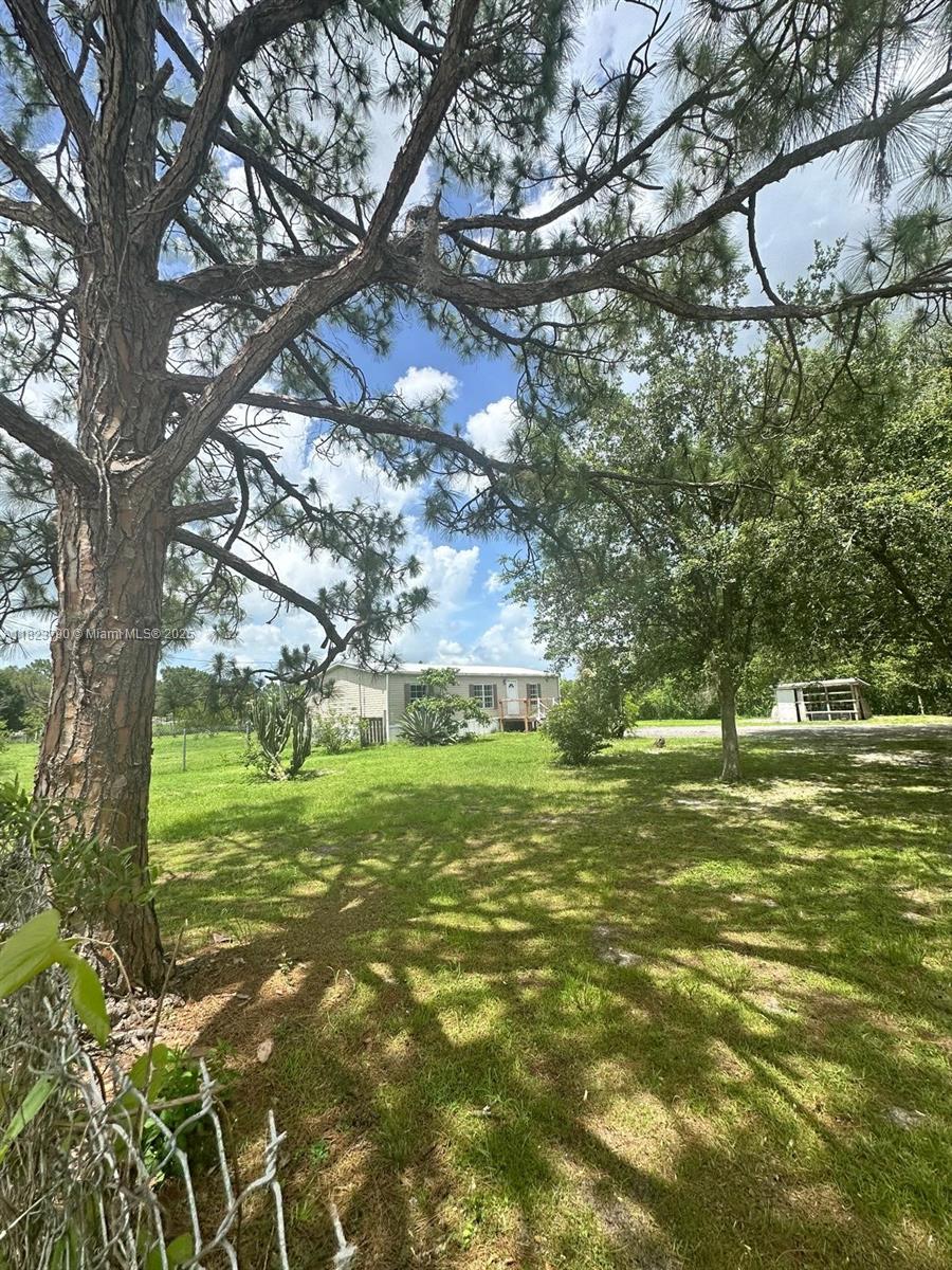 451 Bald Cypress, Clewiston, Florida image 3