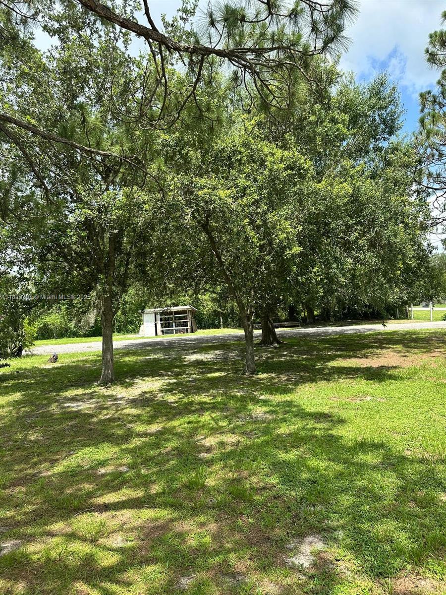 451 Bald Cypress, Clewiston, Florida image 4