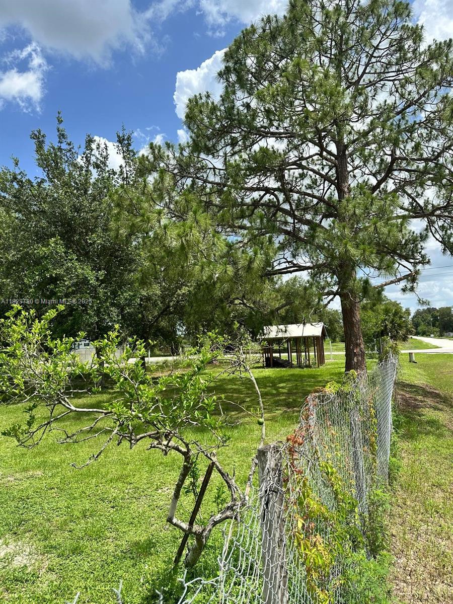 451 Bald Cypress, Clewiston, Florida image 9