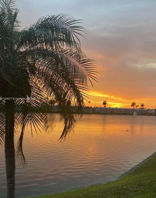 1000 SW 10th Ter #2P, Hallandale Beach, Florida image 22
