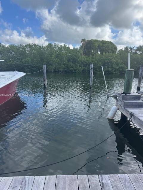 6200 SW 152nd St, Palmetto Bay, Florida image 2