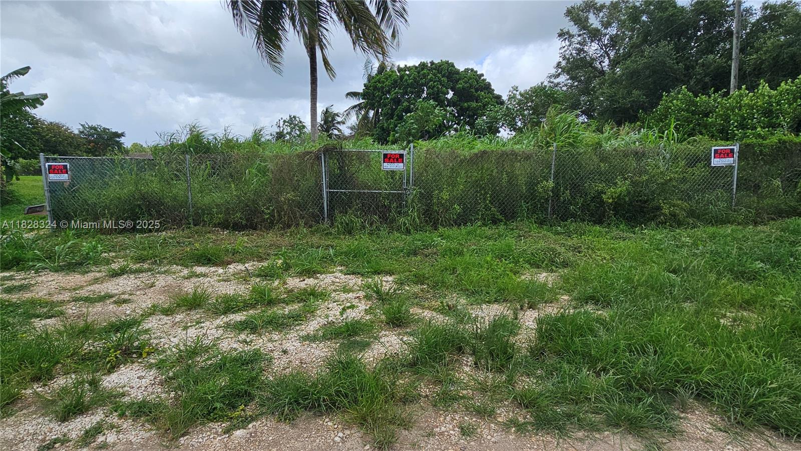 195 355, Florida City, Florida image 1
