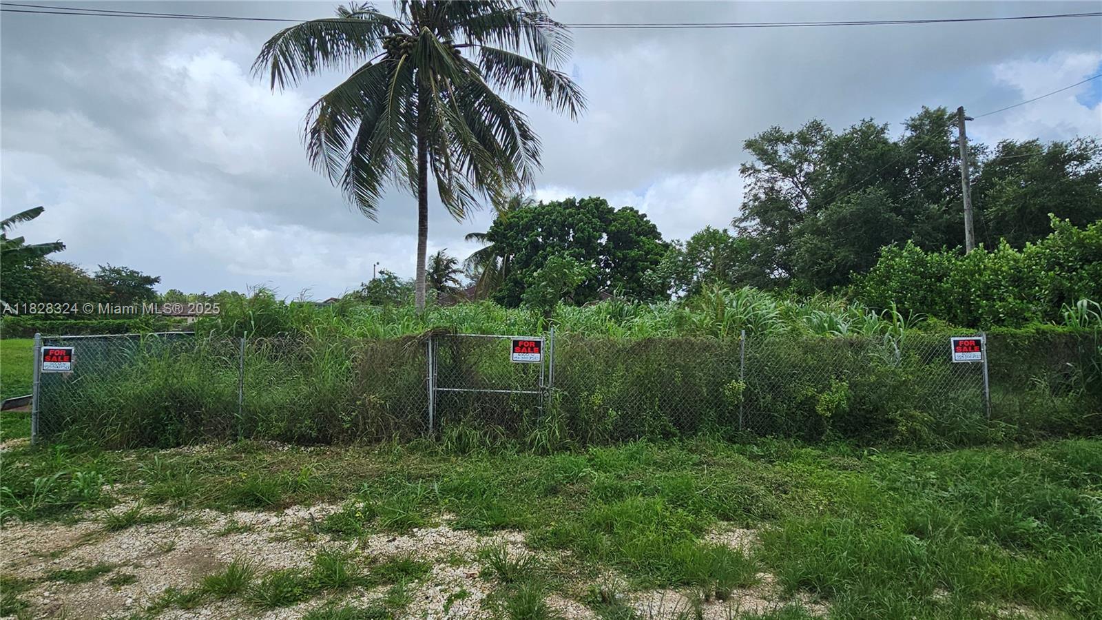 195 355, Florida City, Florida image 12