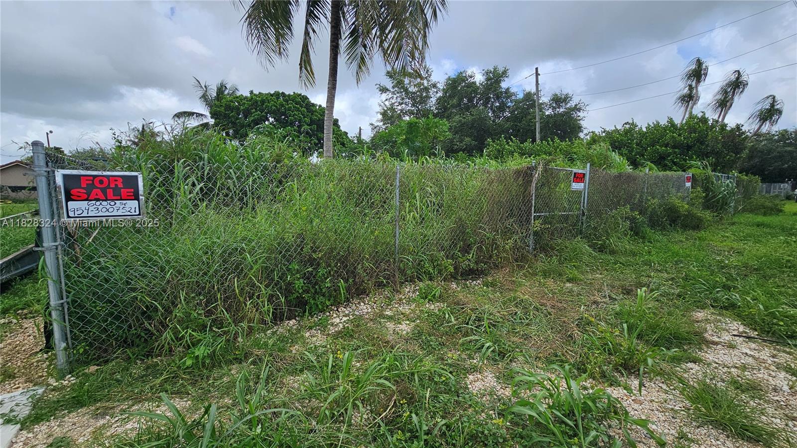 195 355, Florida City, Florida image 13