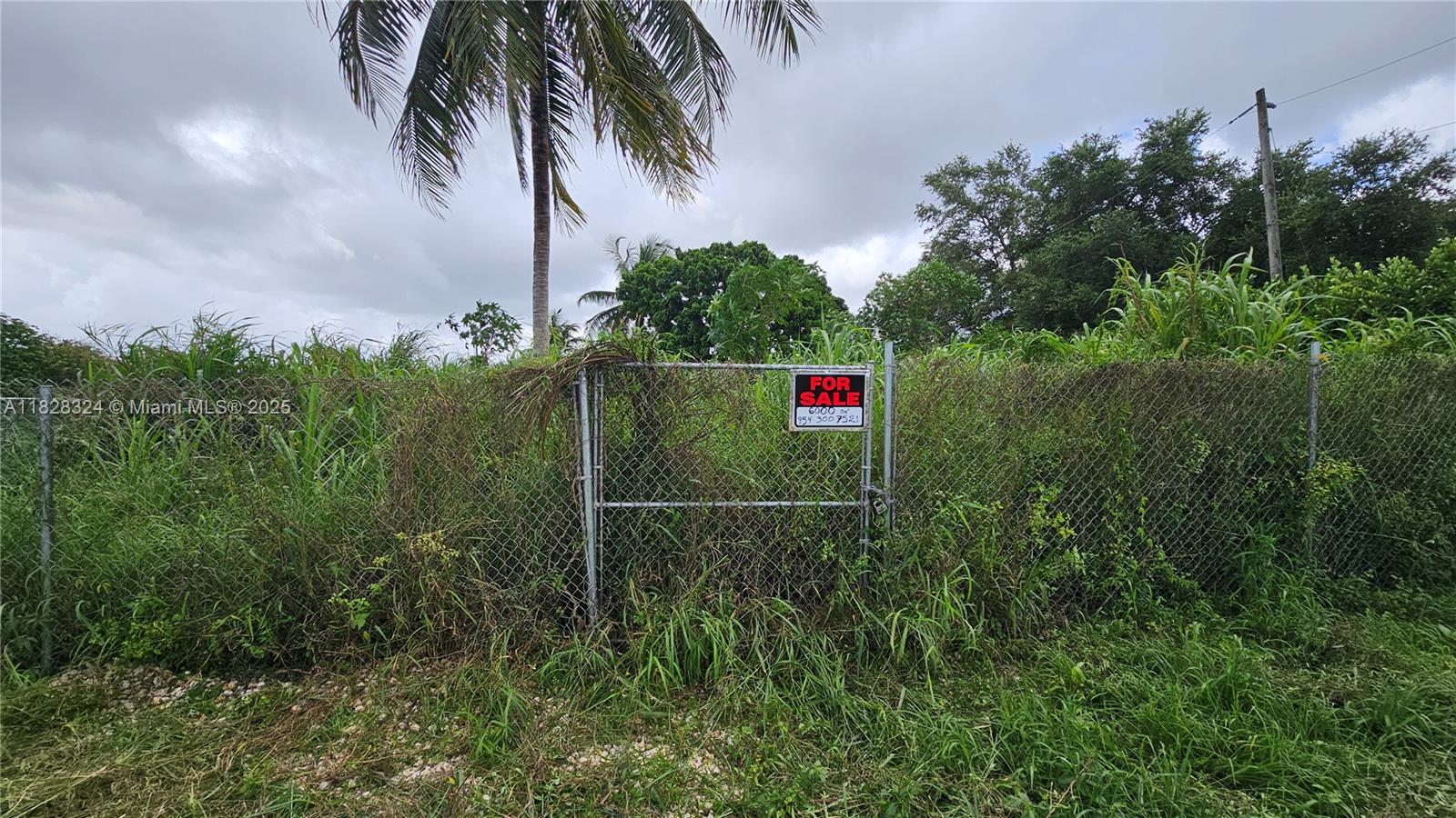 195 355, Florida City, Florida image 14