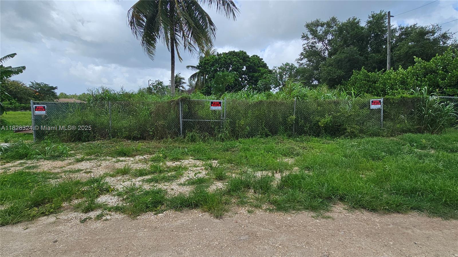 195 355, Florida City, Florida image 9