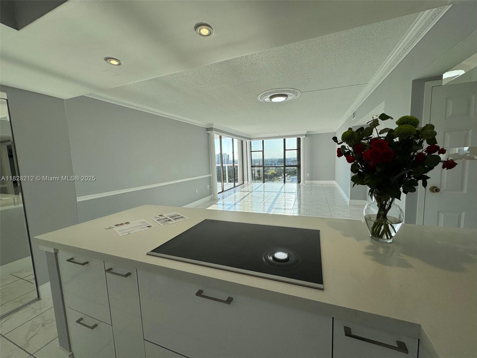 3625 N Country Club Dr #2009, Aventura, Florida image 44