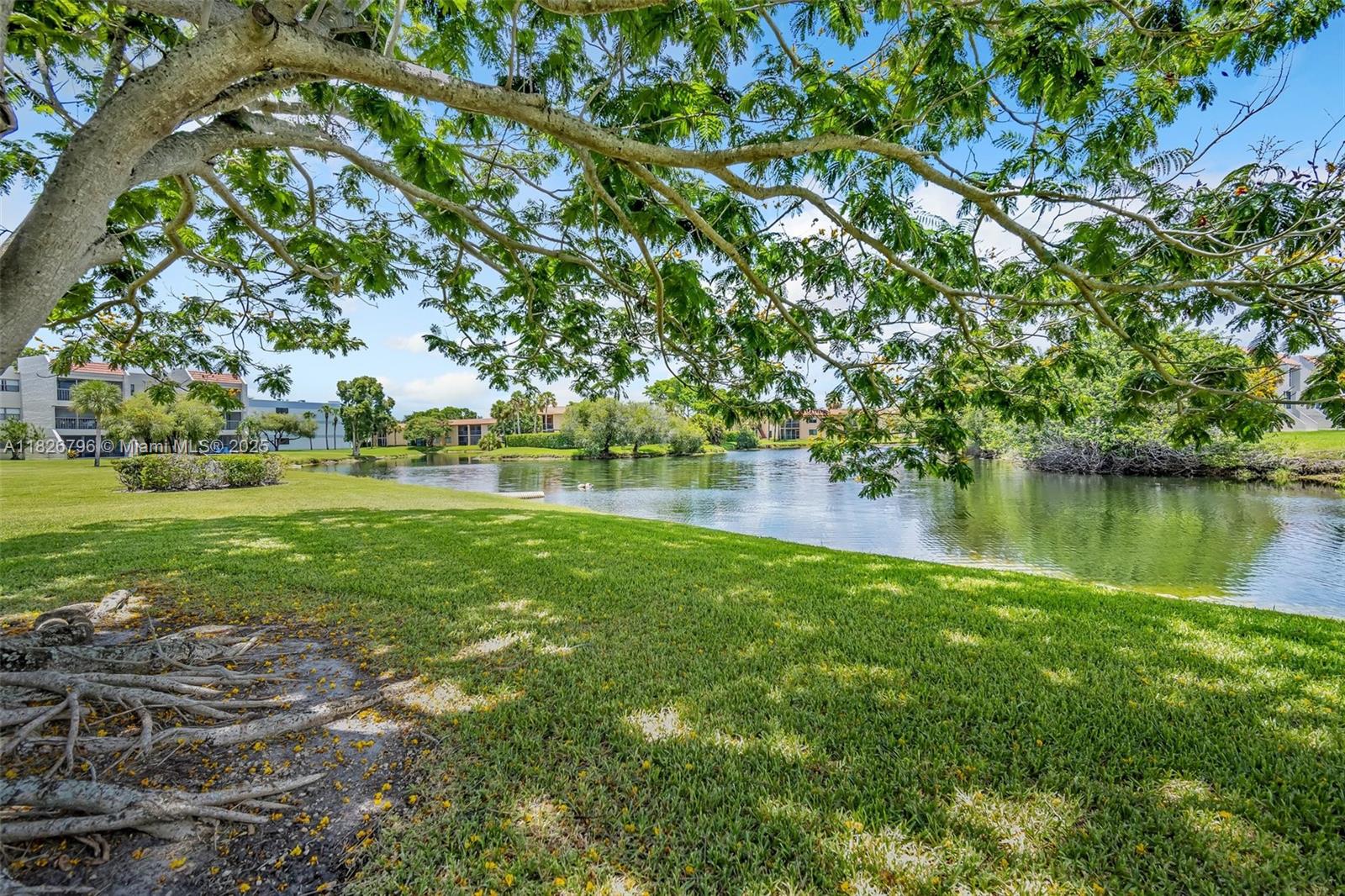 220 Lakeview Dr #308, Weston, Florida image 1