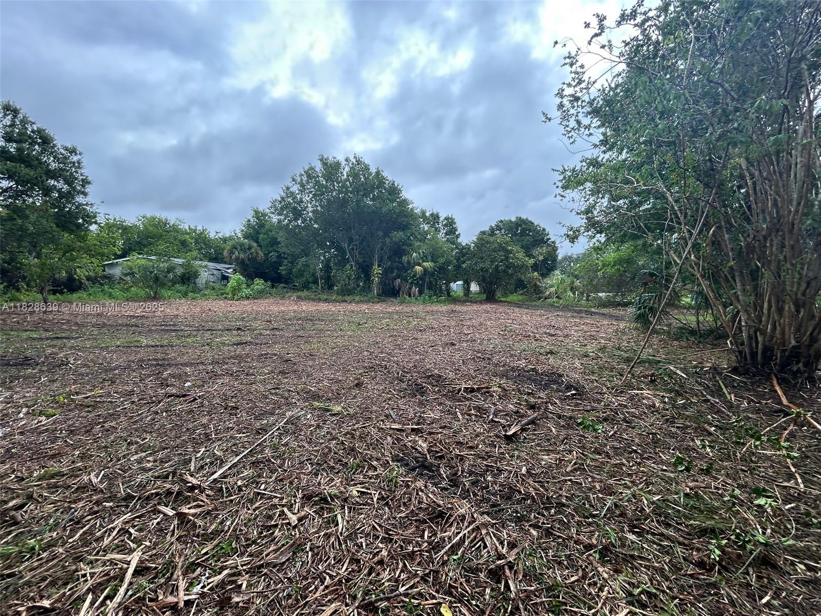1052 Oak St, Moore Haven, Florida image 10