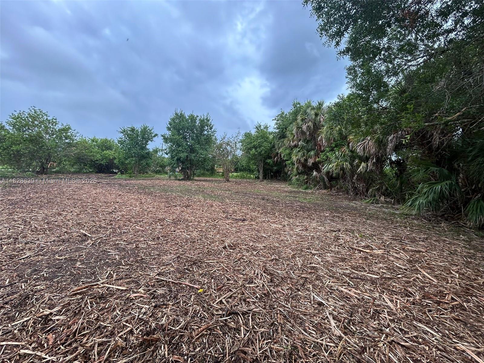 1052 Oak St, Moore Haven, Florida image 11