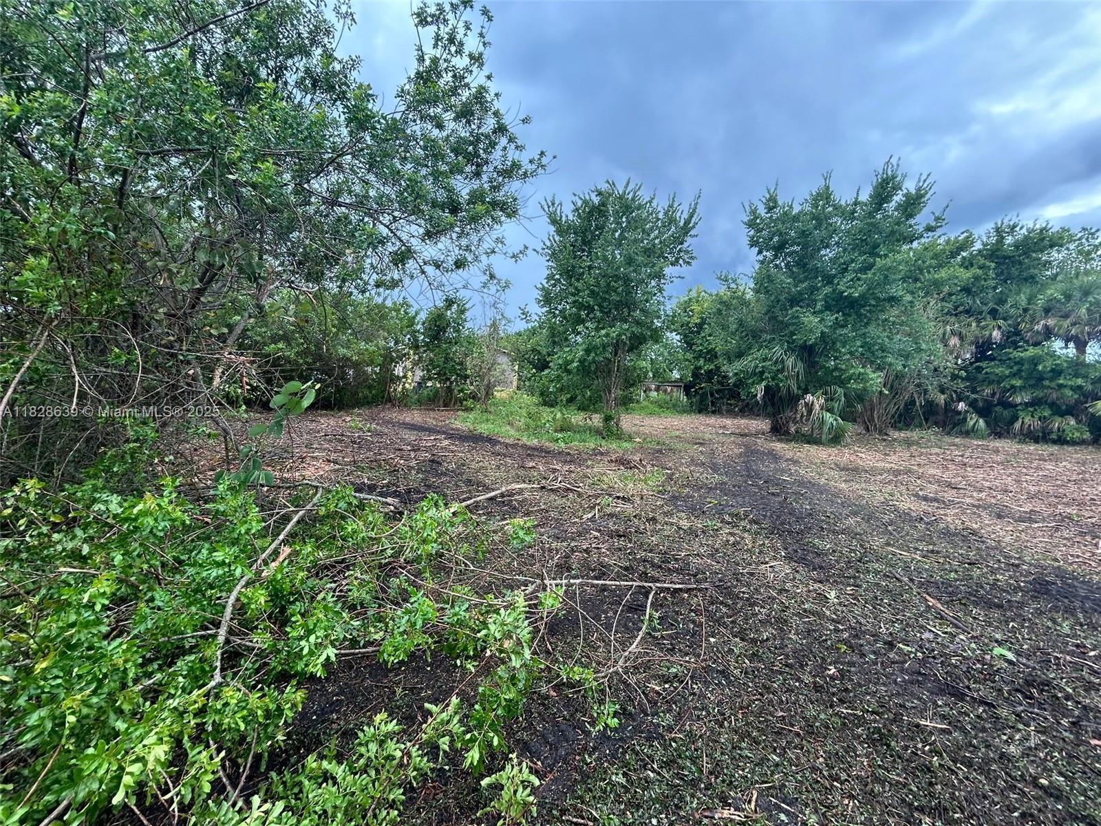 1052 Oak St, Moore Haven, Florida image 6