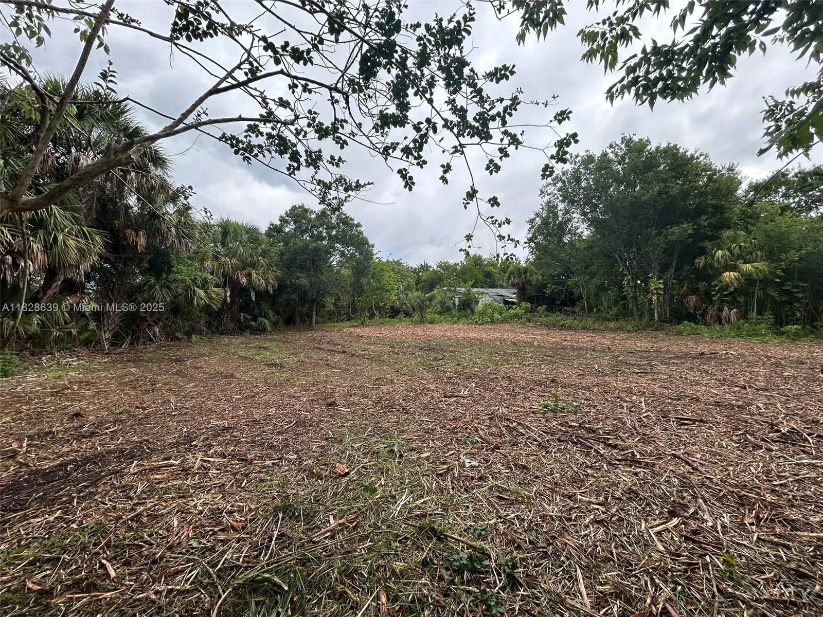 1052 Oak St, Moore Haven, Florida image 7