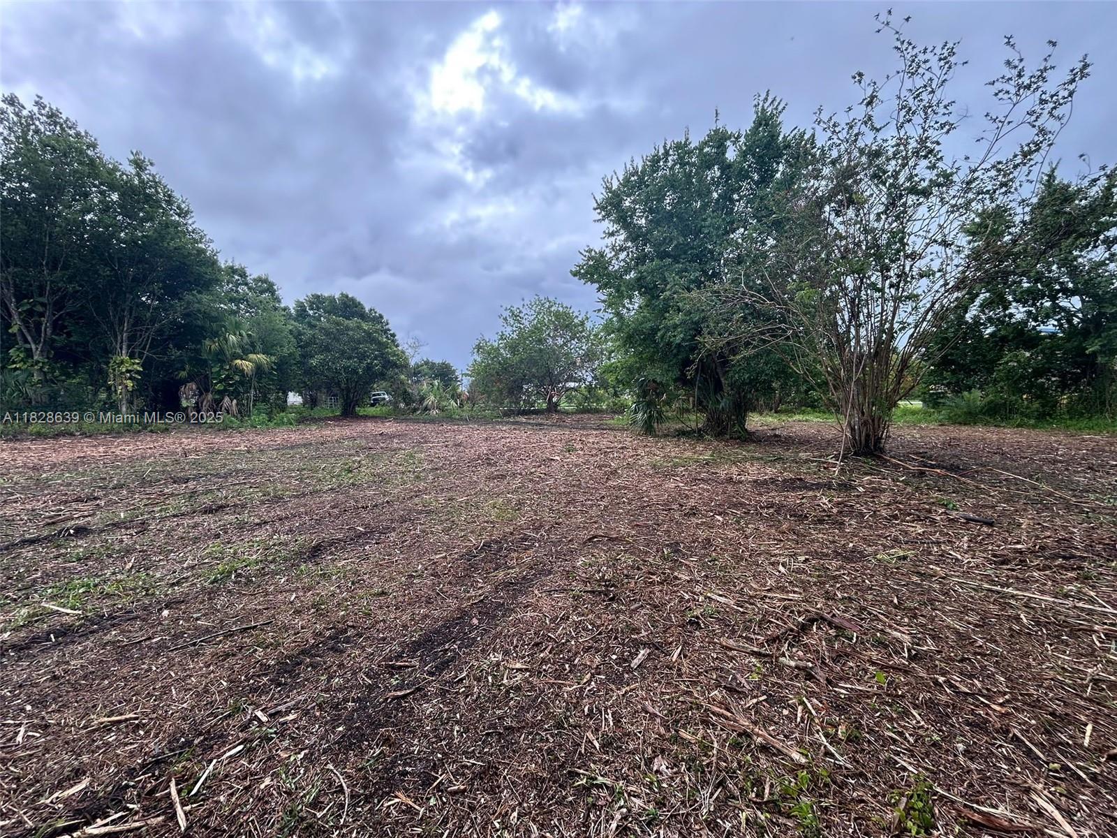 1052 Oak St, Moore Haven, Florida image 9