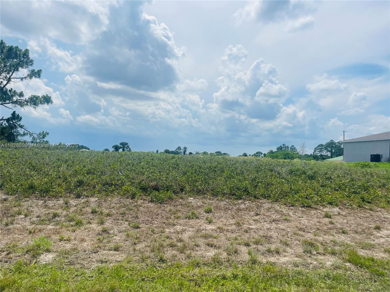 9035 W Justice, La Belle, Florida image 8