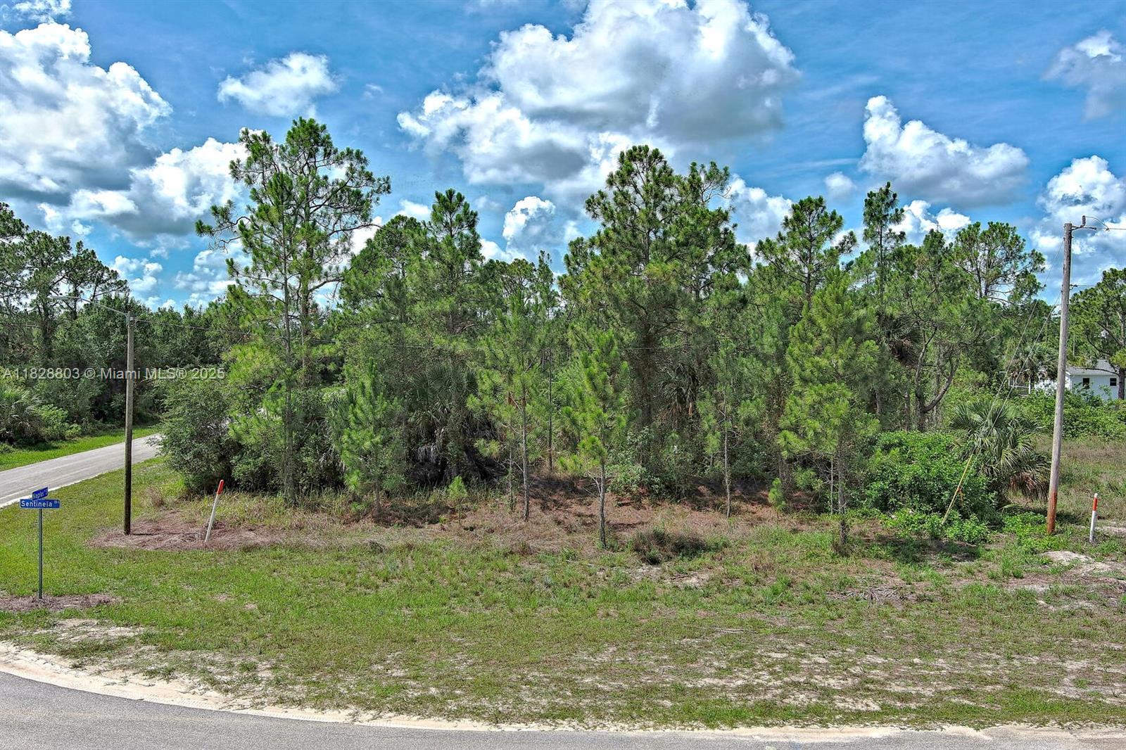 1246 Sentinela Blvd, Lehigh Acres, Florida image 1